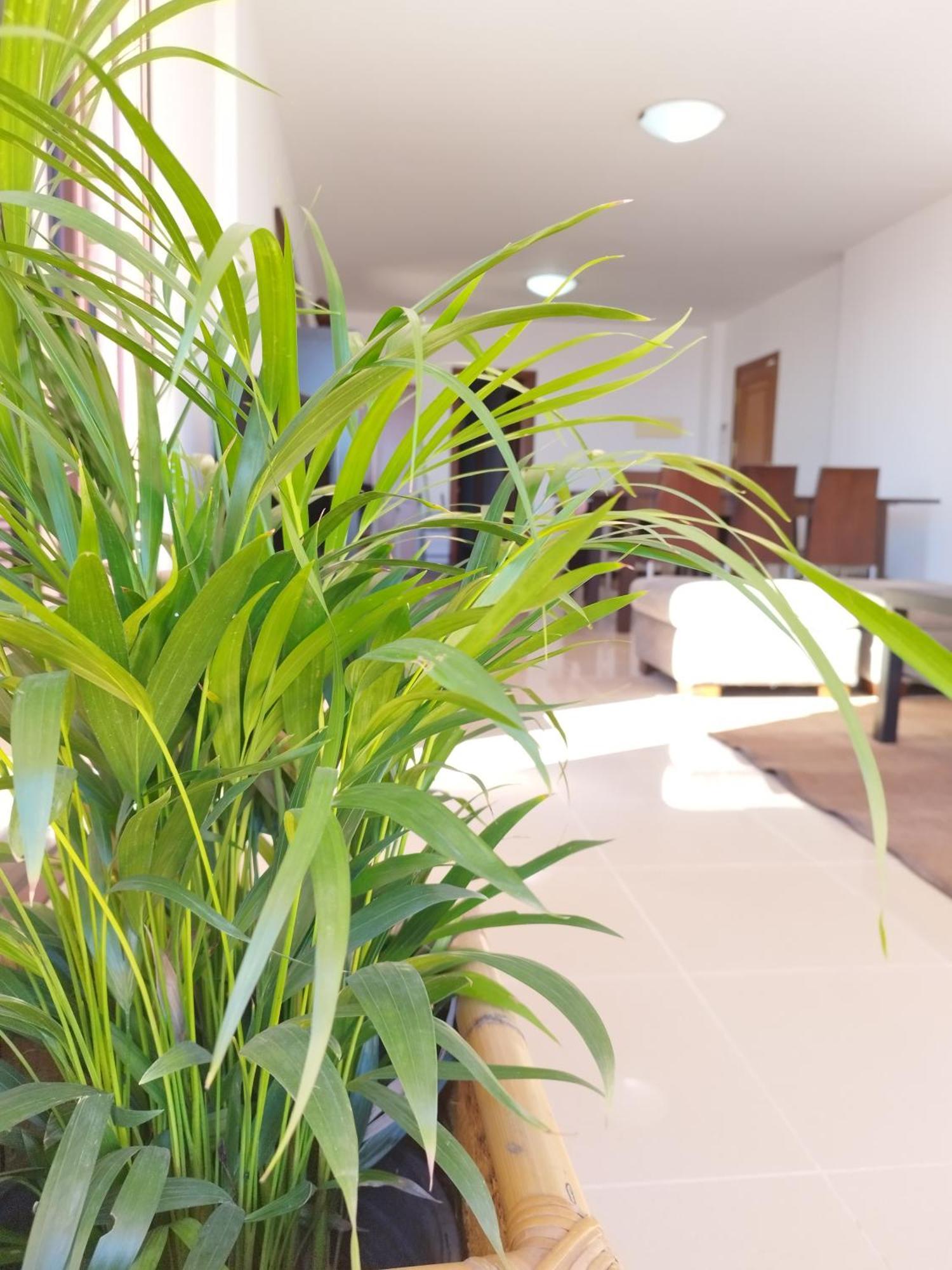 Bed and Breakfast Vivienda Vacacional Compartida Radazul Exteriér fotografie